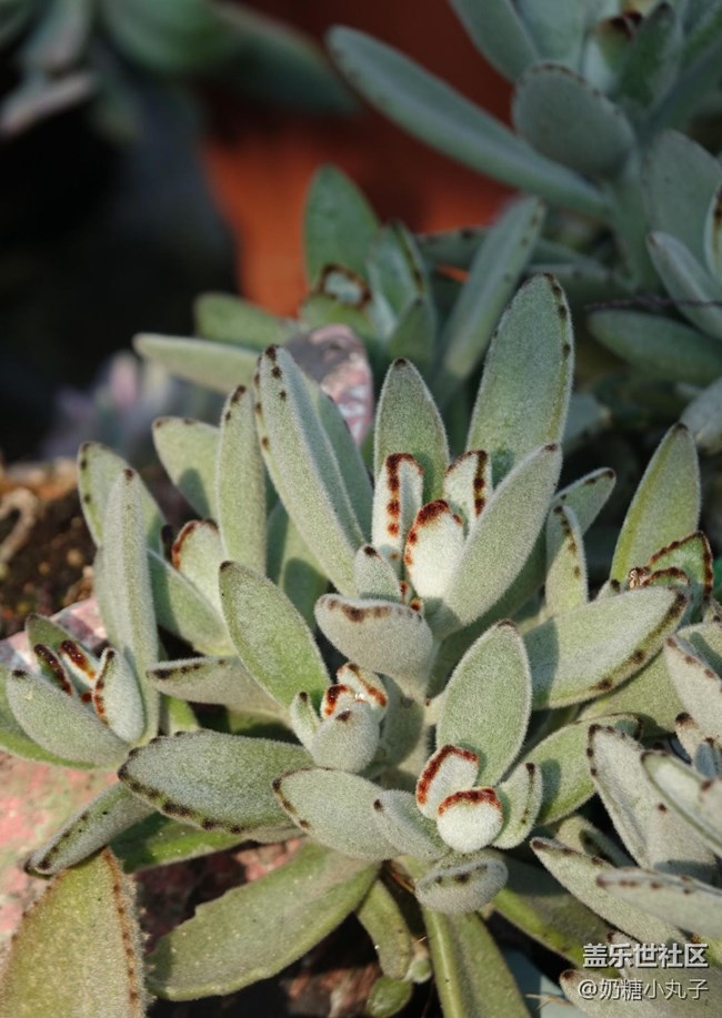 【瞬间】绿色生活