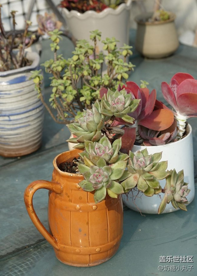 【瞬间】绿色生活