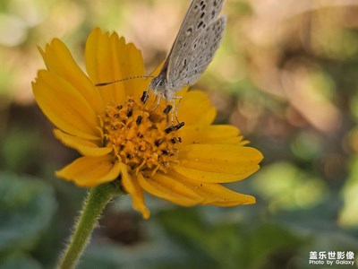 【拍有意境】晴天随拍
