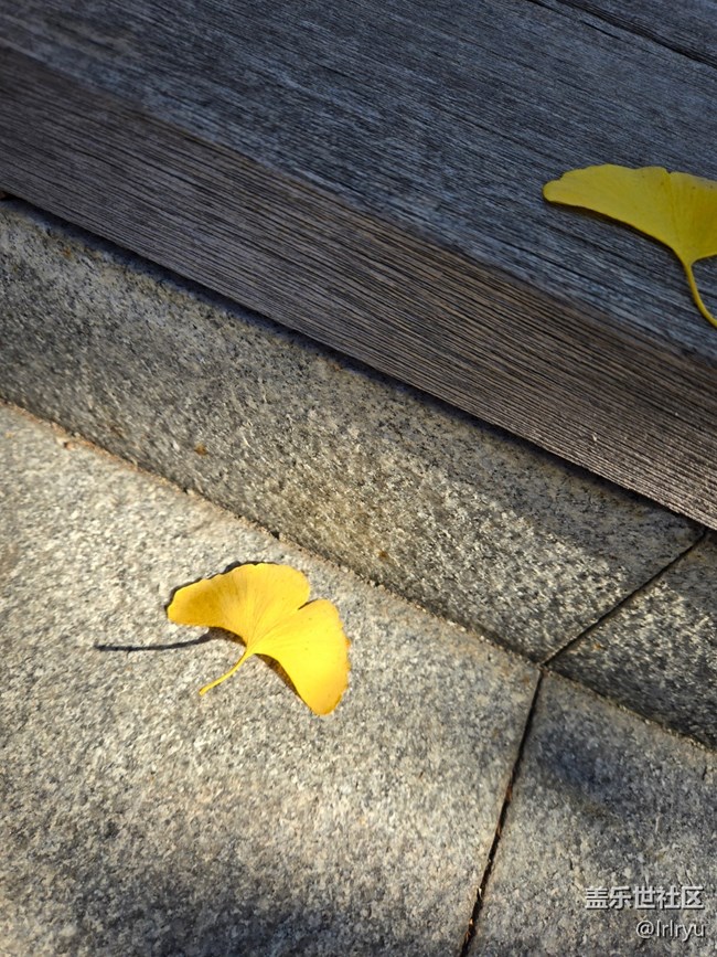 【瞬间】秋日余味