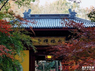 【拍有意境】秋日永福，于钱塘福地寻一份清静