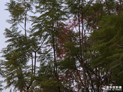 【拍有意境】+凝固的时间