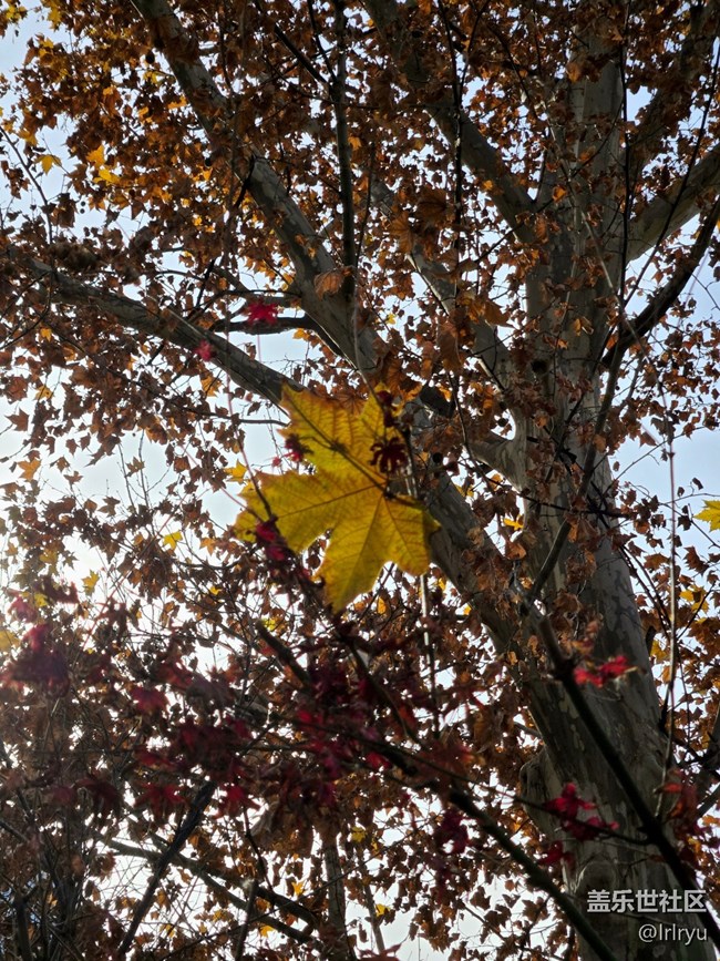 【瞬间】秋日余味