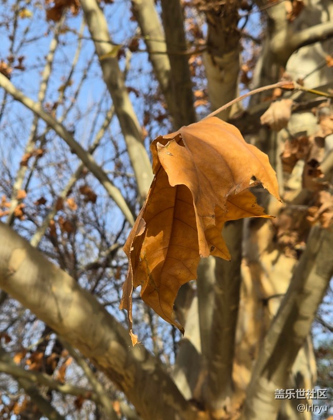 【瞬间】秋日余味