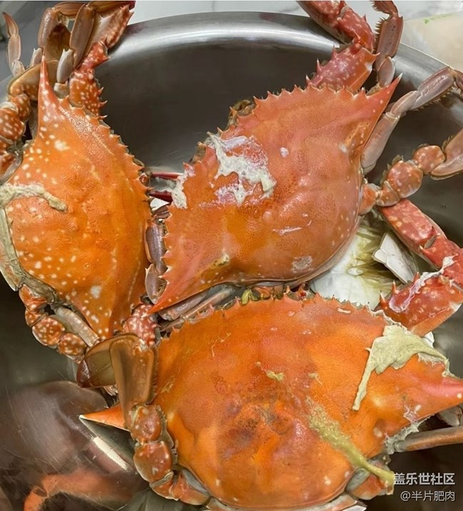 【冬食暖宴】清蒸螃蟹