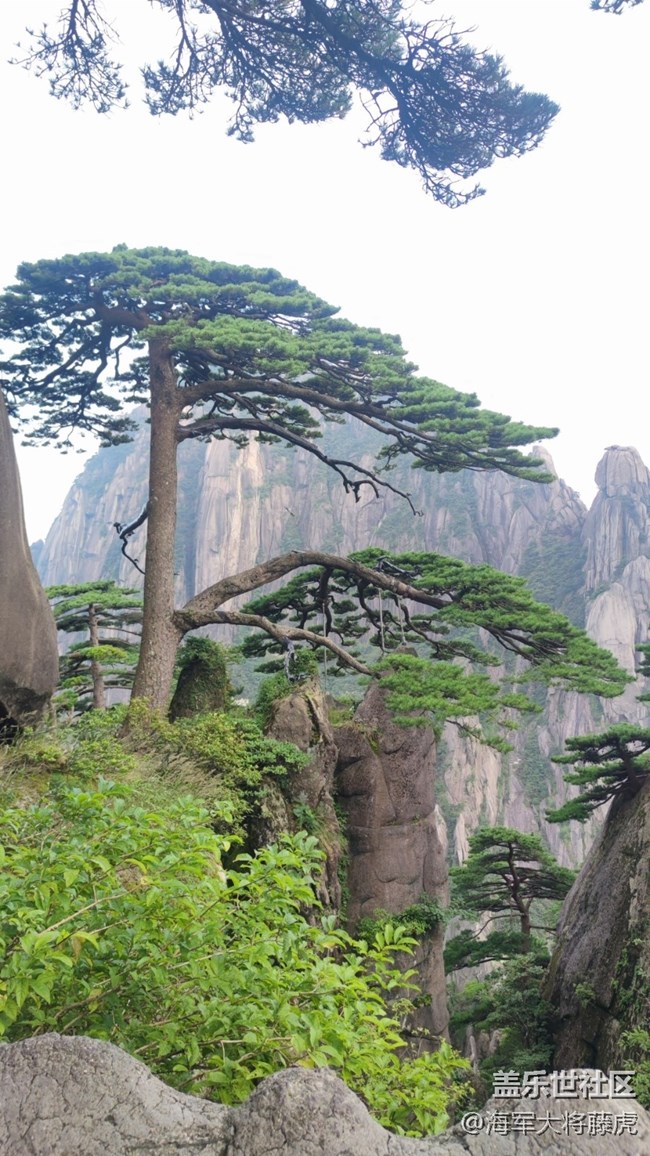 【瞬间】山巅之上，那些瞬间的美好