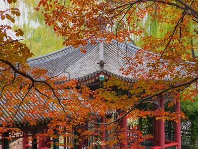 Galaxy S23 Ultra 走进秋天（四）