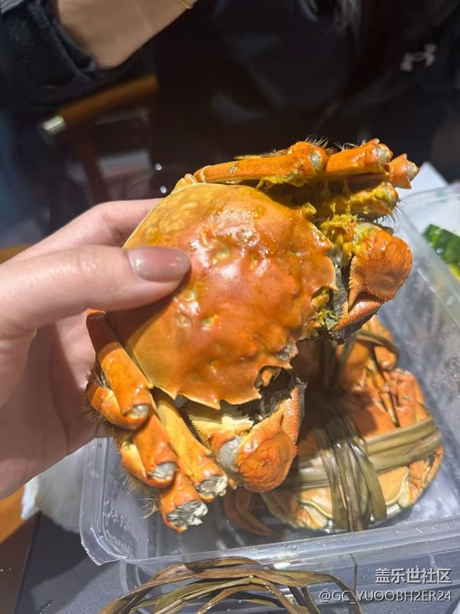 【冬食暖宴】边减边吃