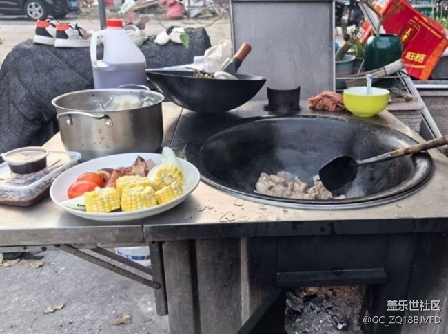 【冬食暖宴】炖大鹅