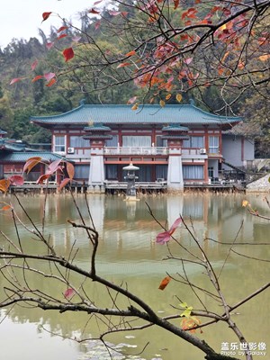 【初冬限定帧】丹叶映桂川