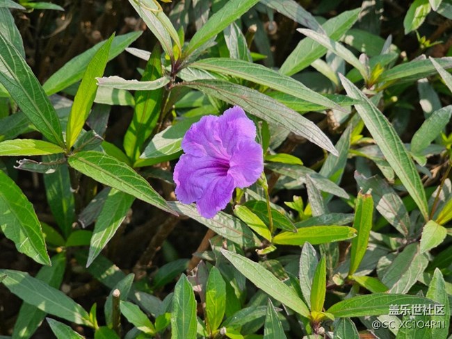 【瞬间】美丽瞬间