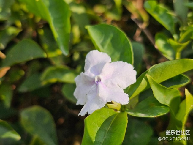 【瞬间】美丽瞬间