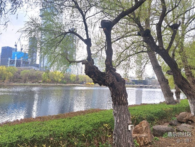 【瞬间】风轻云淡的瞬间