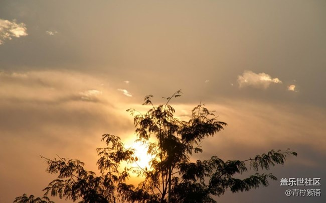 【瞬间】冬日暖阳