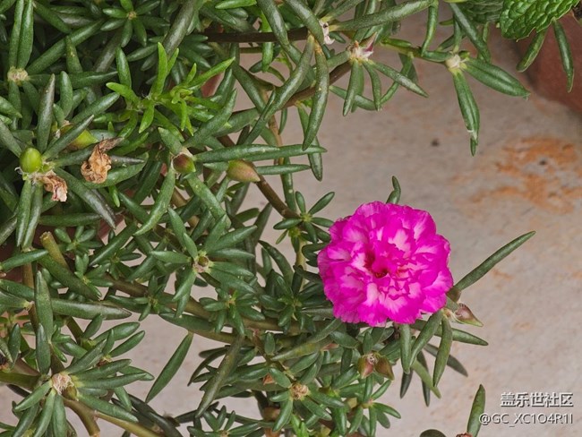 【瞬间】美丽瞬间