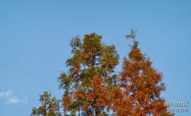 【瞬间】冬日暖阳