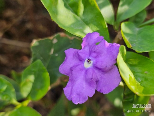 【瞬间】美丽瞬间