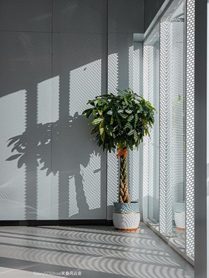 【摄影版块十二月第二周】顺光逆光