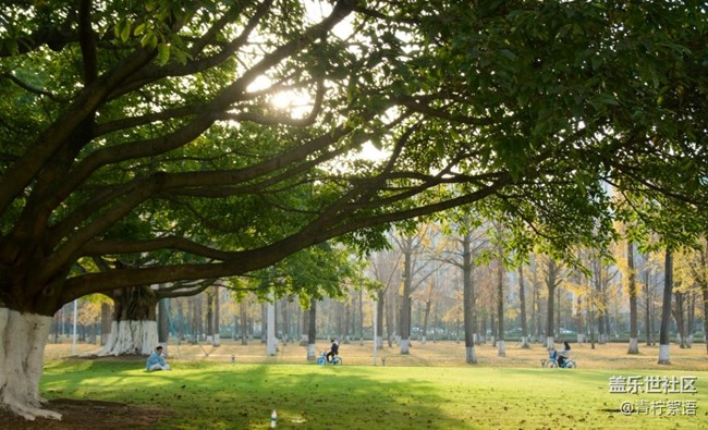 【瞬间】冬日暖阳