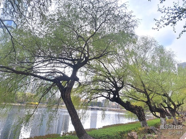 【瞬间】风轻云淡的瞬间