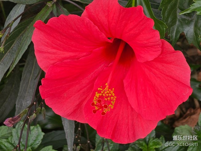 【瞬间】美丽瞬间