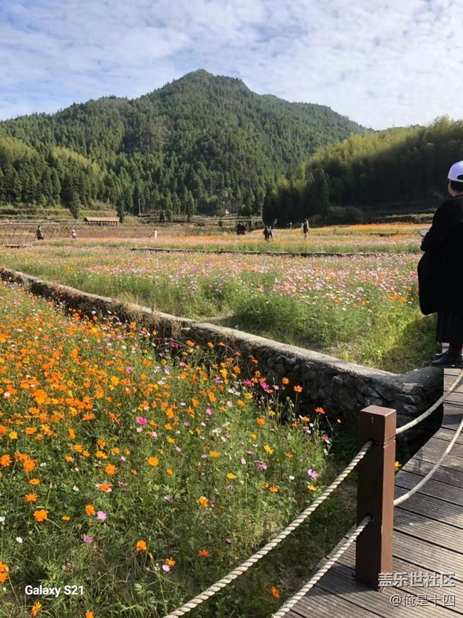 【三星视界】家乡花圃