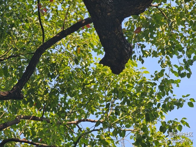 【瞬间】好时光