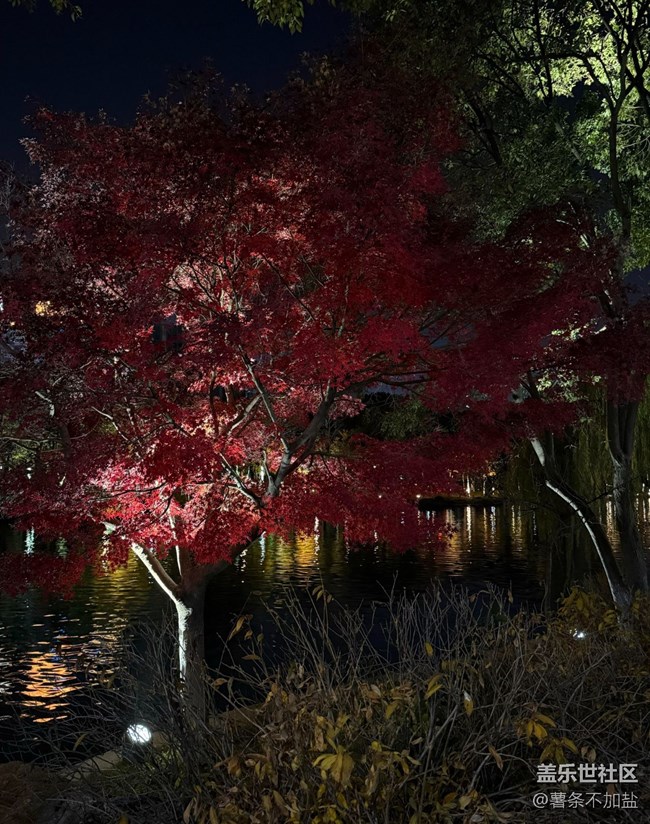 【瞬间】漫步时光