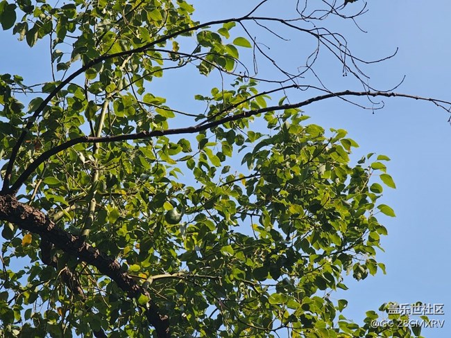 【瞬间】好时光