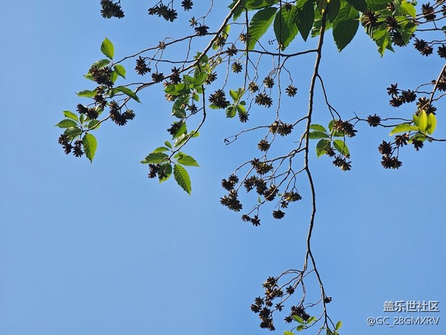 【瞬间】好时光