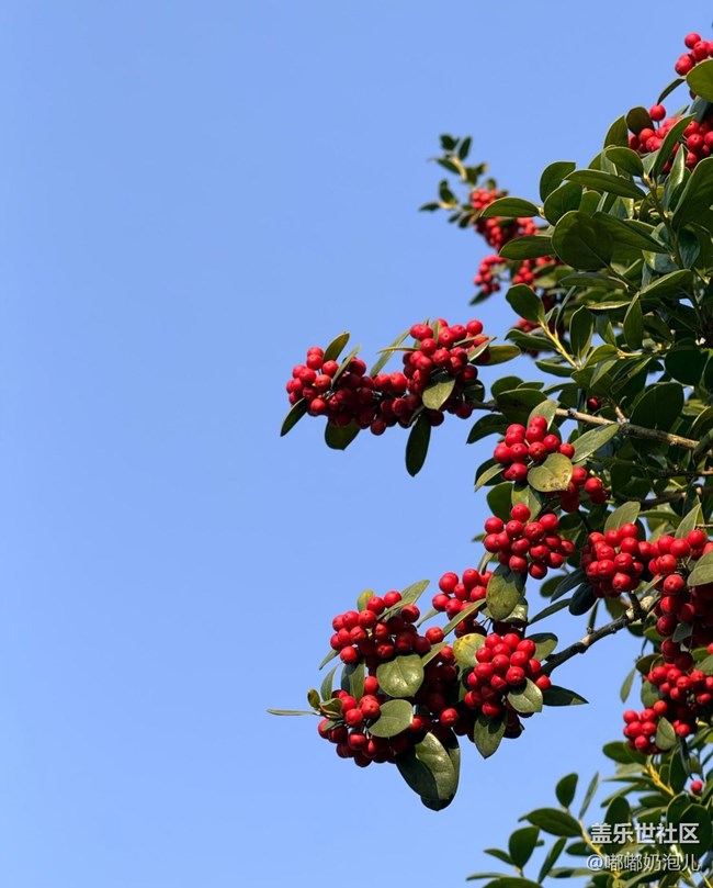 【瞬间】冬日里的缤纷色彩