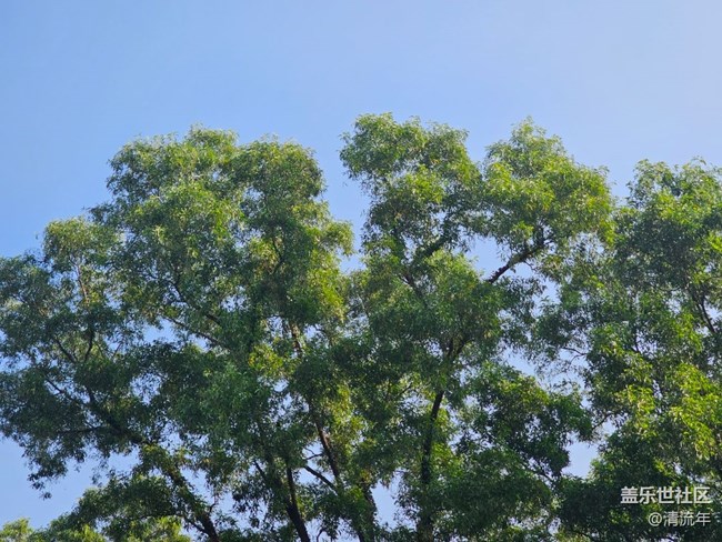 【瞬间】好时光