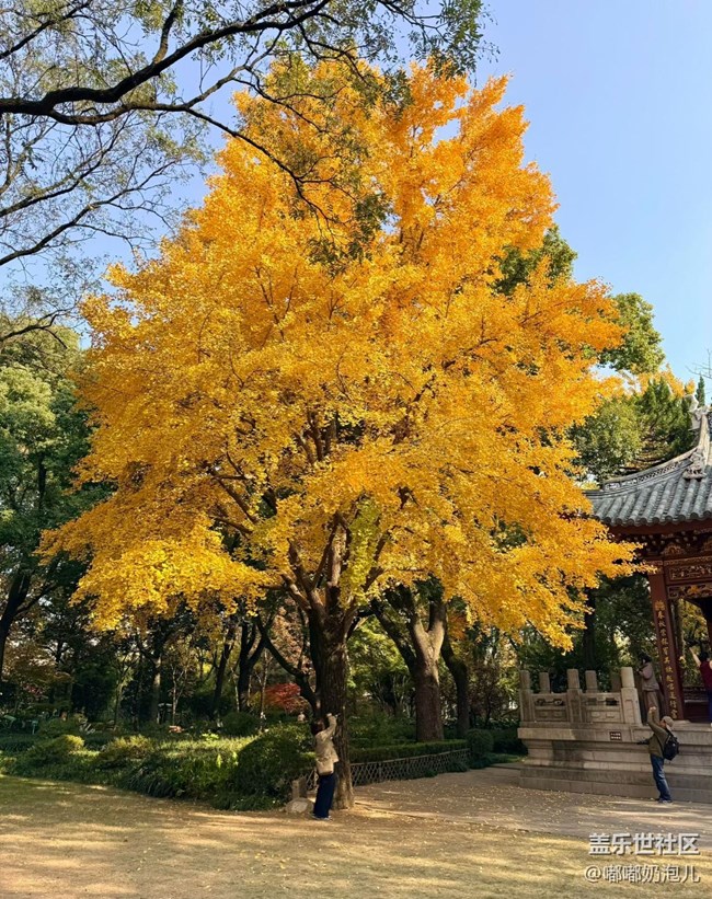 【瞬间】冬日里的缤纷色彩