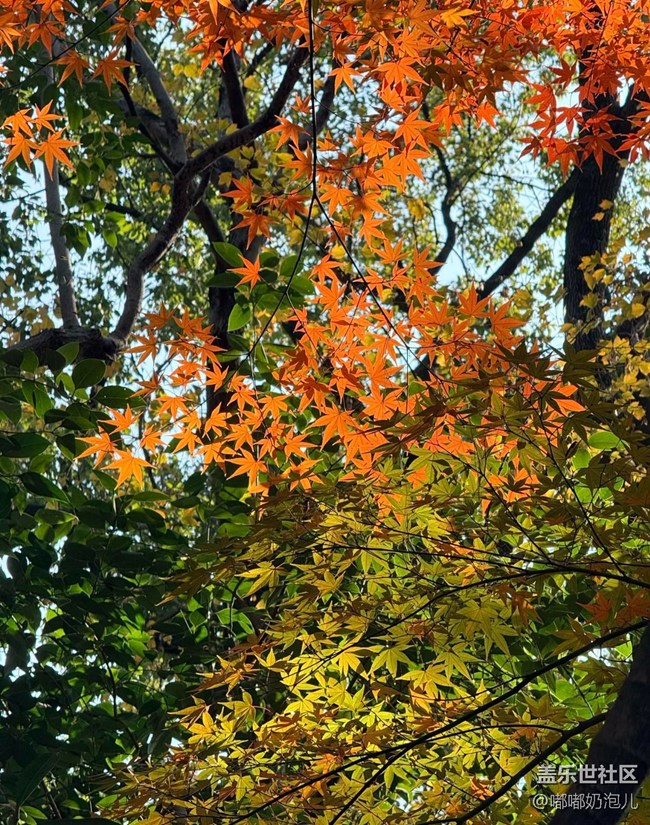 【瞬间】冬日里的缤纷色彩