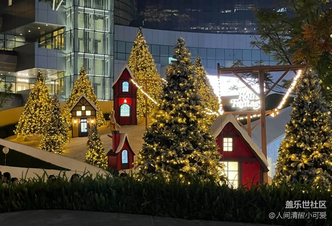 【瞬间】璀璨圣诞，温暖瞬间