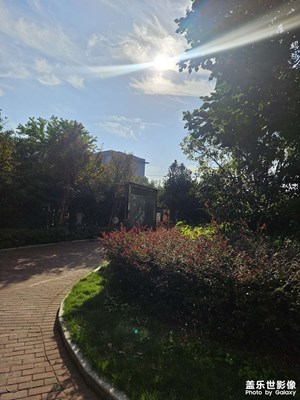 【初冬限定帧】+初冬的蓝天