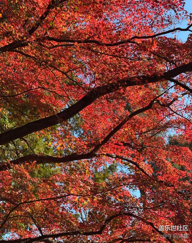 【瞬间】刹那芳华