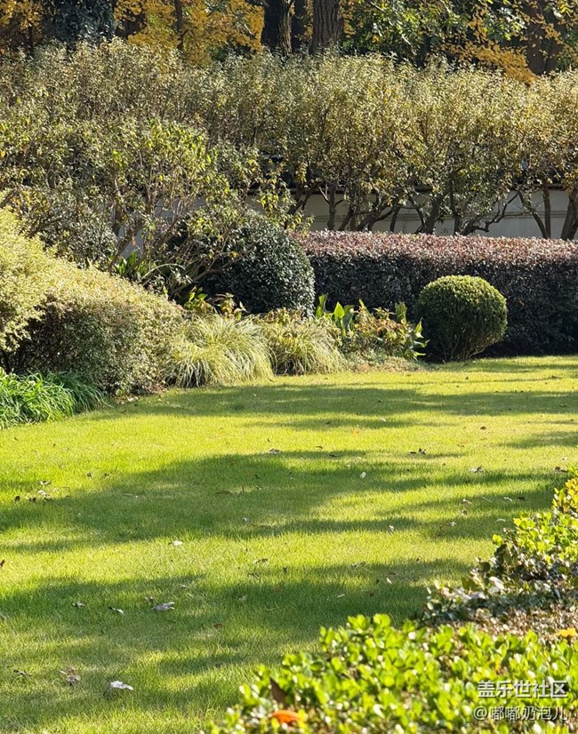 【瞬间】冬日里的缤纷色彩