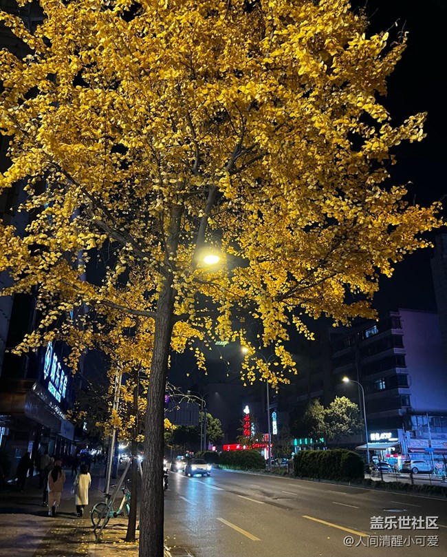 【瞬间】璀璨圣诞，温暖瞬间