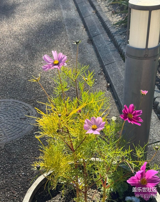 【瞬间】刹那芳华