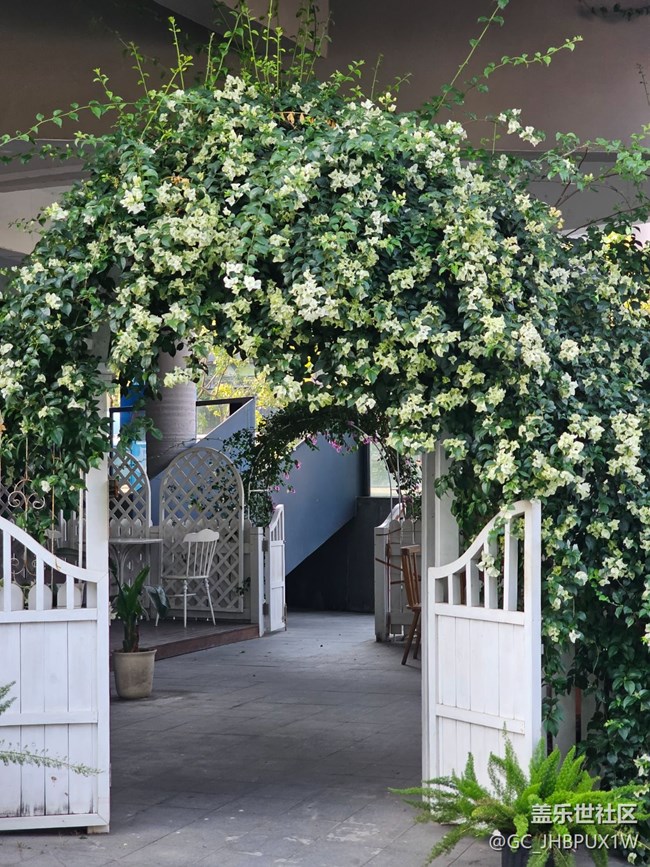 【街巷秋痕】小区巷口