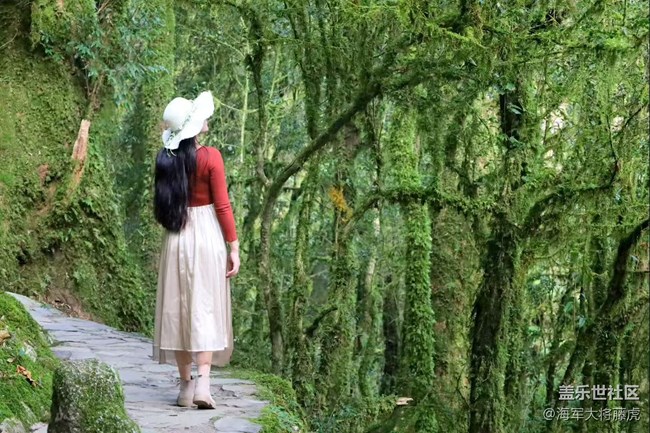 【瞬间】雨林里的瞬间,是裹着苔藓的温柔 【瞬间】雨林里的瞬间,是裹着苔藓的温柔