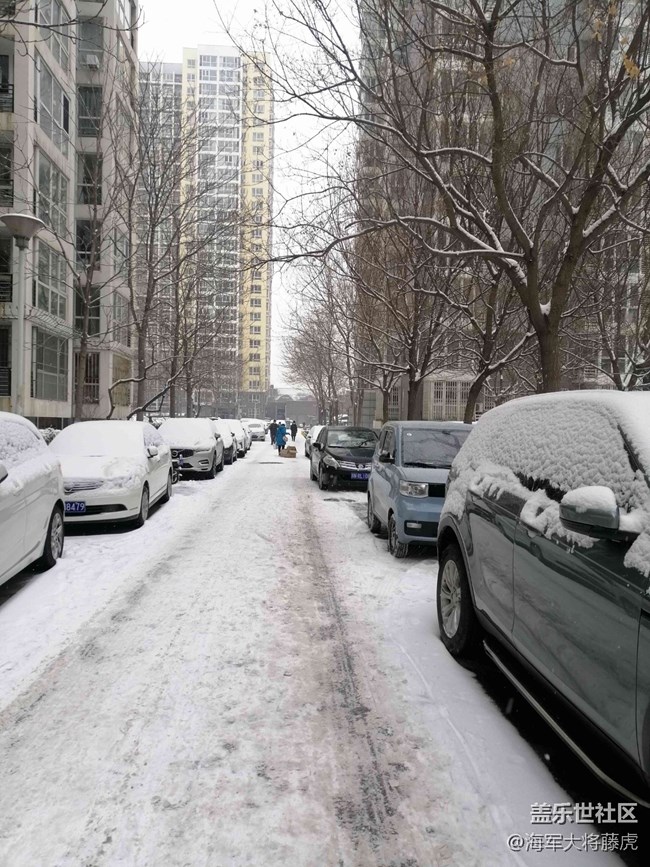 【银装视界】银装视界里的冬日温柔 【银装视界】银装视界里的冬日温柔