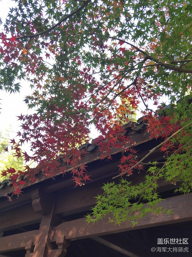 【秋末山景】秋色的多彩是大自然的缱倦问候