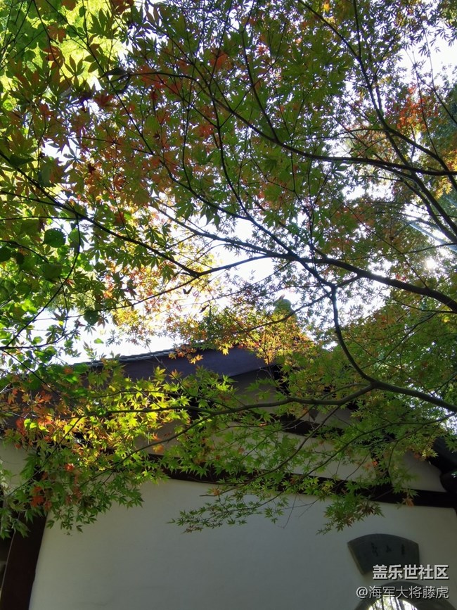 【秋末山景】秋色的多彩是大自然的缱倦问候