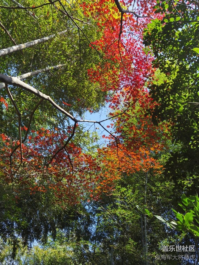 【秋末山景】秋色的多彩是大自然的缱倦问候