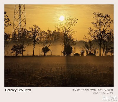 Galaxy S25 Ultra镜头下的迷雾清晨