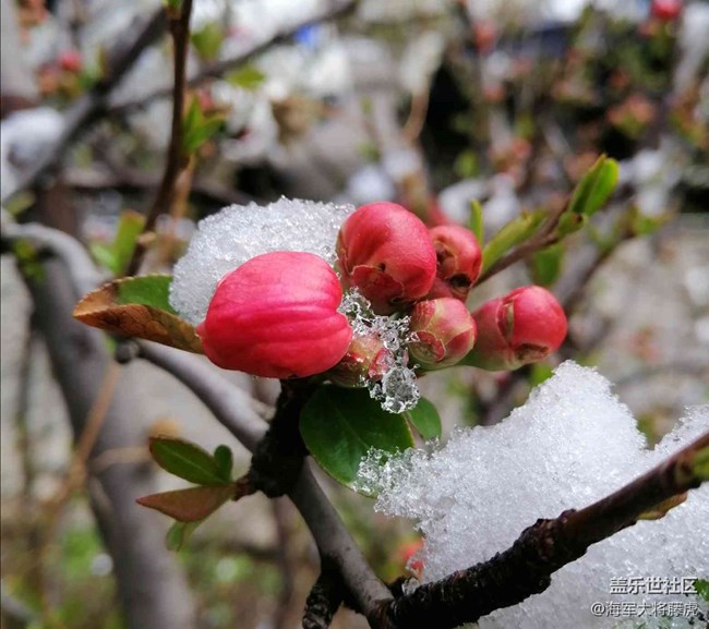 【银装视界】银装视界里的冬日温柔 【银装视界】银装视界里的冬日温柔
