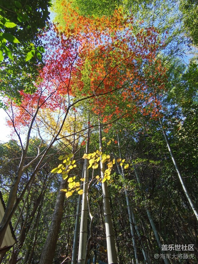 【秋末山景】秋色的多彩是大自然的缱倦问候
