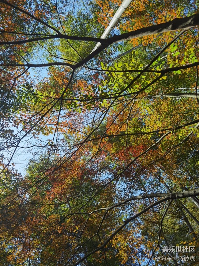 【秋末山景】秋色的多彩是大自然的缱倦问候